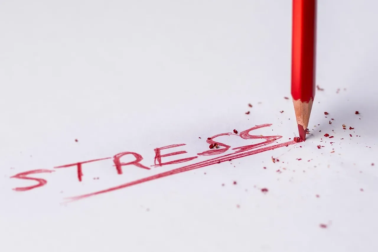 The stress connection (Image Credits: Pixabay)