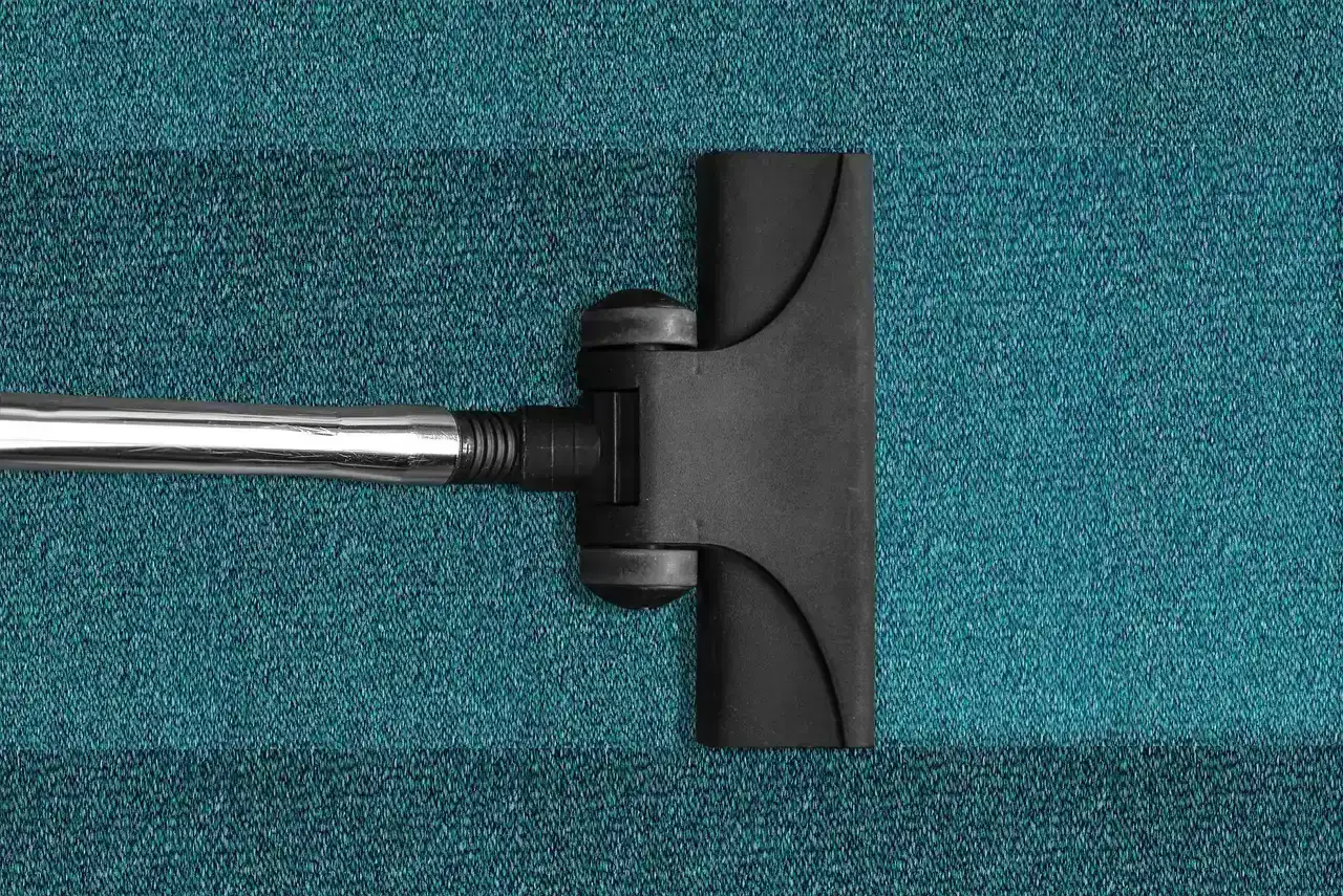 Deep Carpet Cleaning (Image Credits: Pixabay)