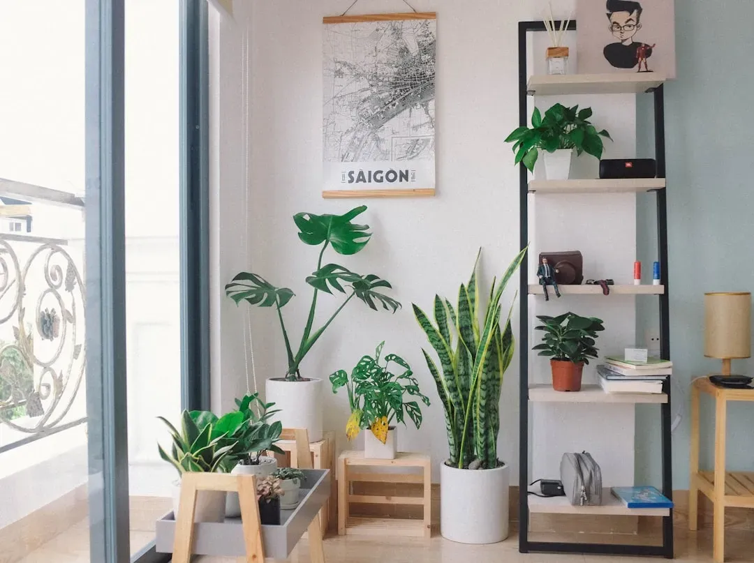 A plant corner for better air and mood (Image Credits: Unsplash)