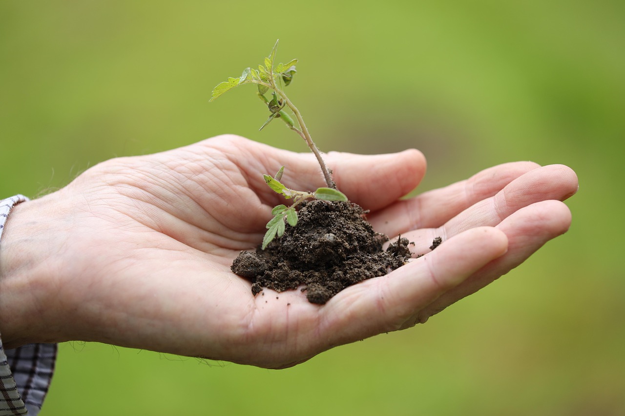 Environmental Control and Sustainability Concerns (image credits: pixabay)