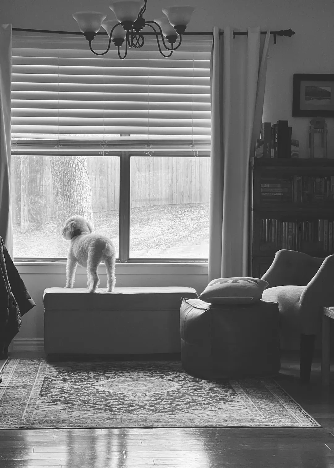 Sound and the Nervous System's Off Switch (Image Credits: Unsplash)