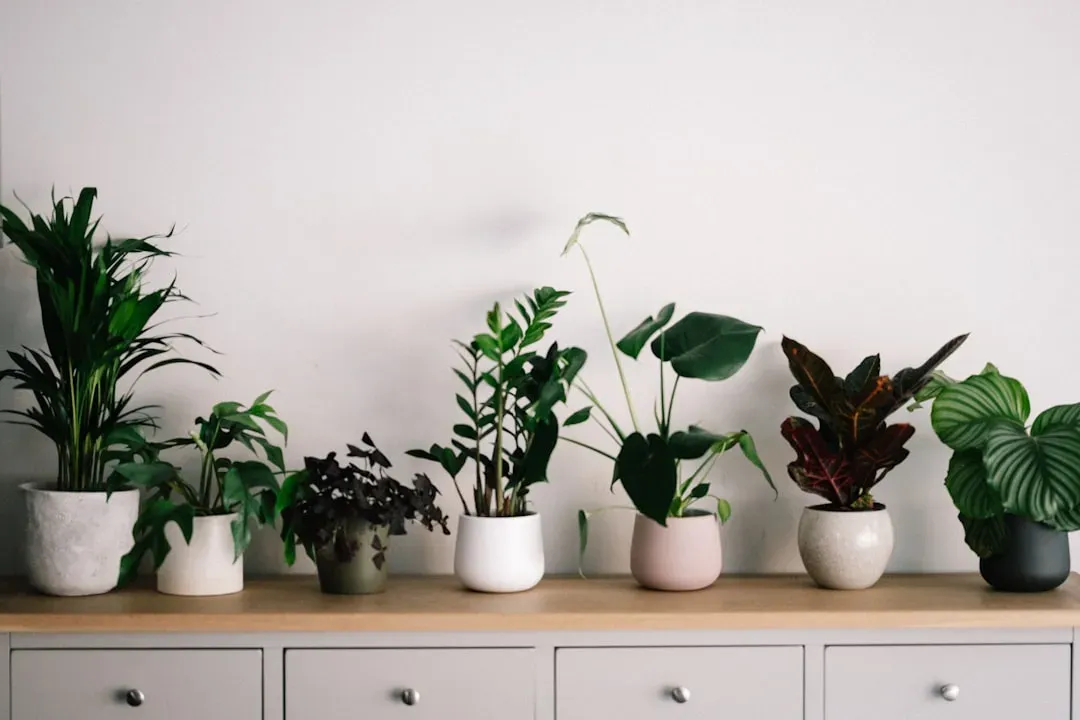 4. A little more green, indoors (Image Credits: Unsplash)