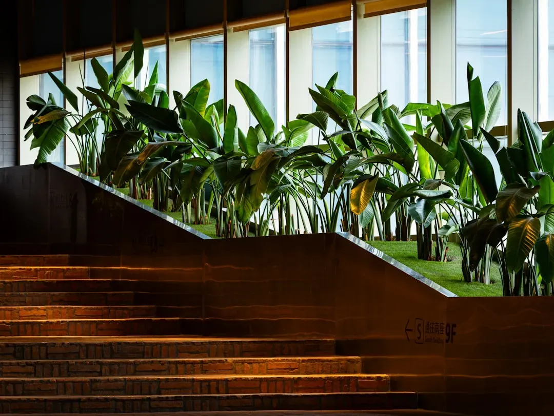 Natural Light and Materials Do Quiet, Constant Work (Image Credits: Unsplash)
