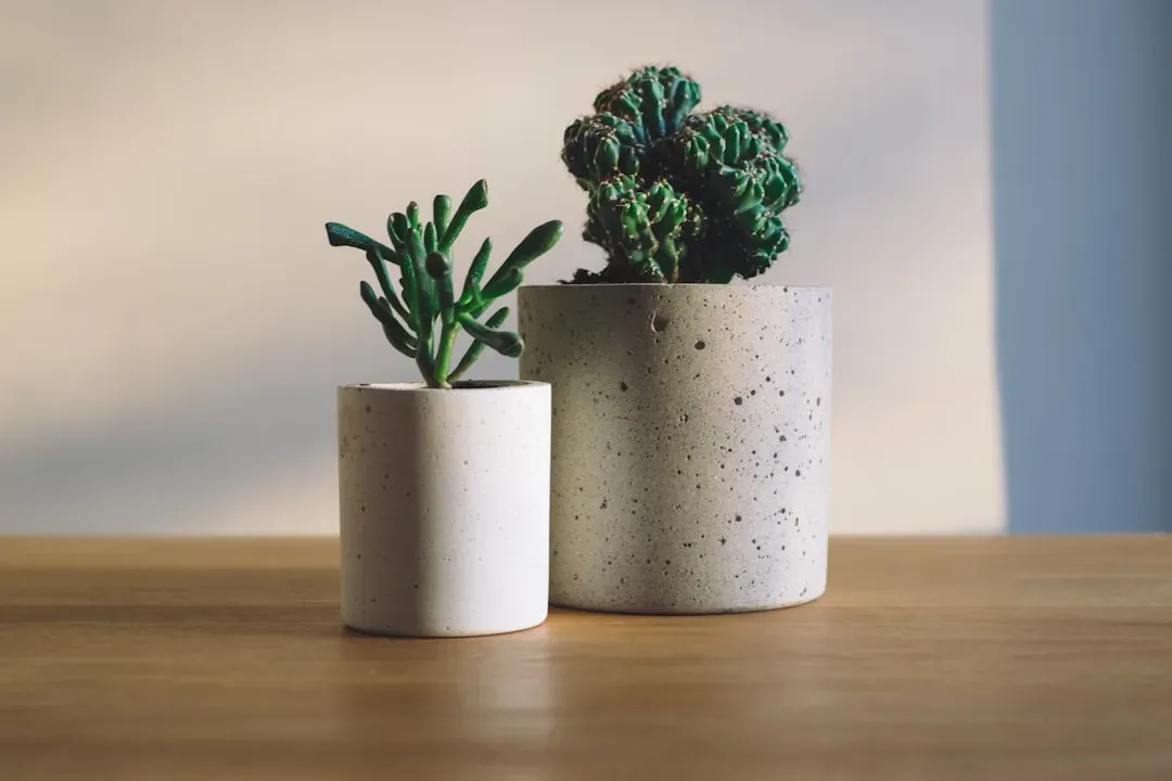 Add Depth with Plants and Texture (Image Credits: Unsplash)