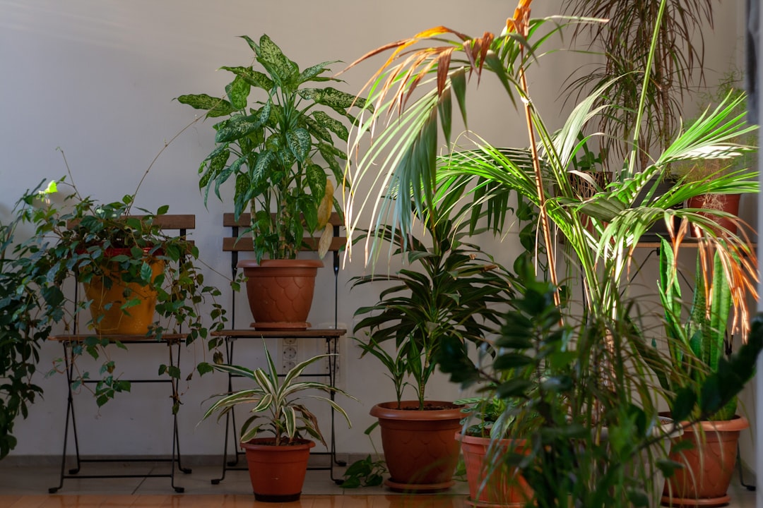 The Numbers Game: How Many Plants Do You Really Need? (image credits: unsplash)