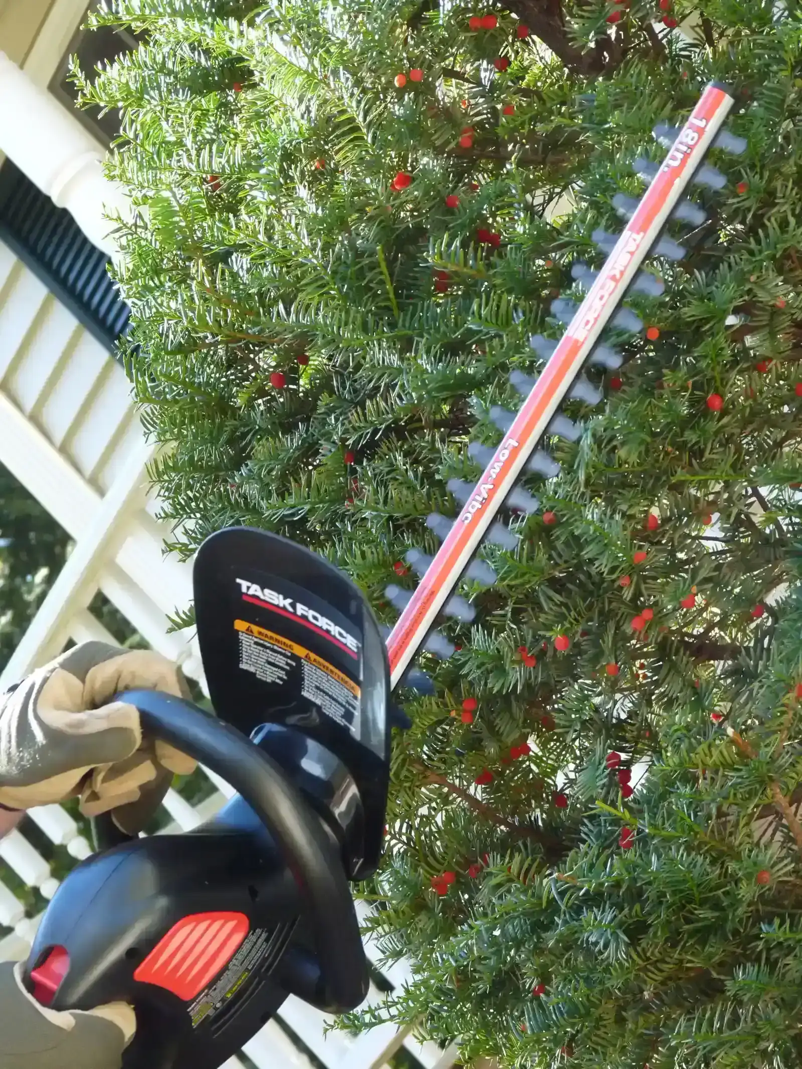 5. Gas-Powered Hedge Trimmers (Image Credits: Wikimedia)