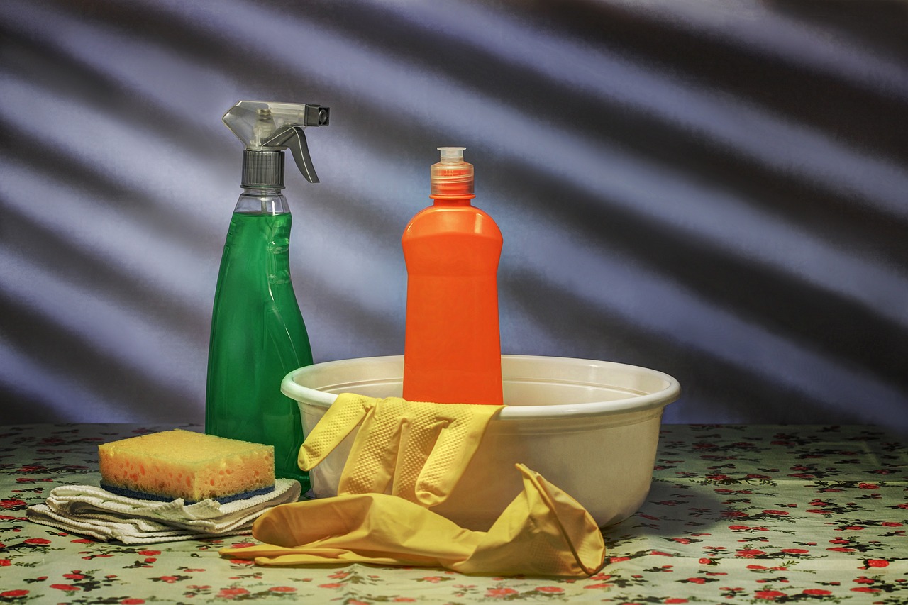 Cleaning Products and Chemicals (image credits: pixabay)