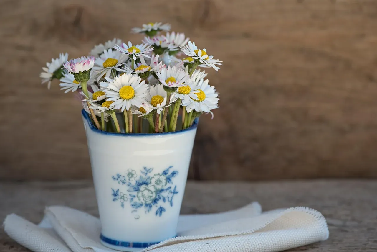 Where flowers get displayed says something (Image Credits: Pixabay)