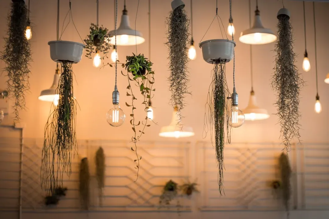Lighting That Matches the Rhythm of the Day (Image Credits: Unsplash)