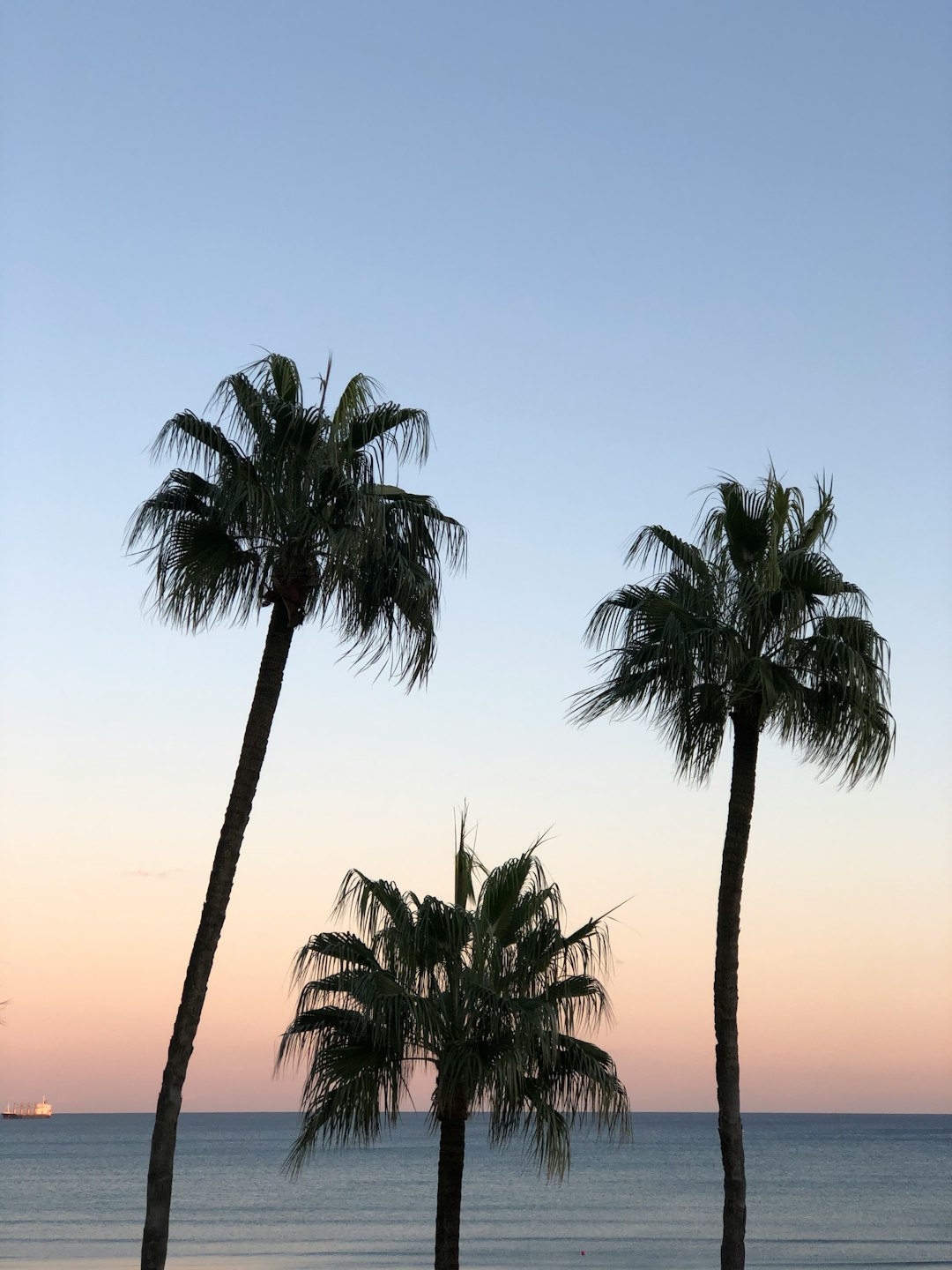Hollywood - A Transforming Coastal Gem (image credits: unsplash)