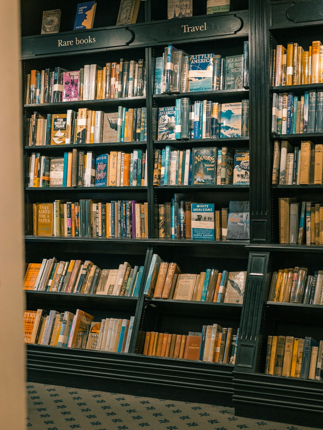 Contemporary Authors Creating Tomorrow's Treasures (image credits: unsplash)
