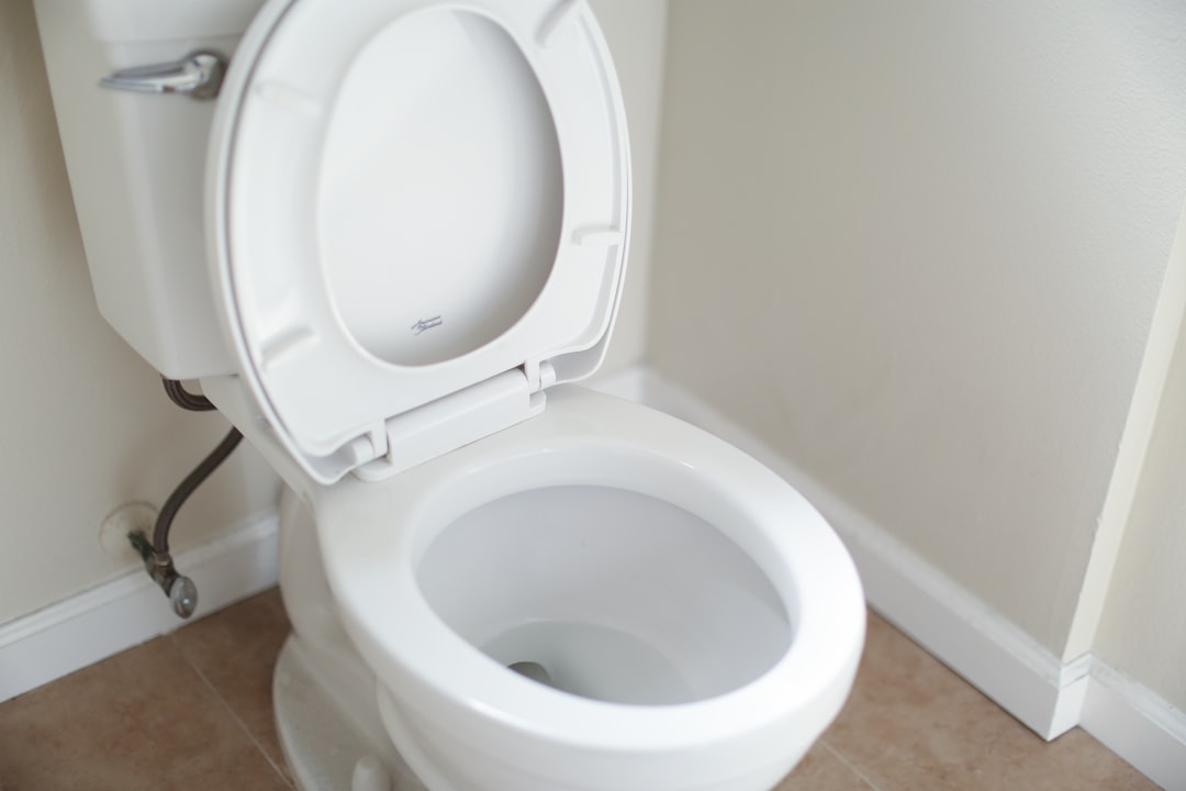 Using Toilets as Chemical Disposal (image credits: unsplash)