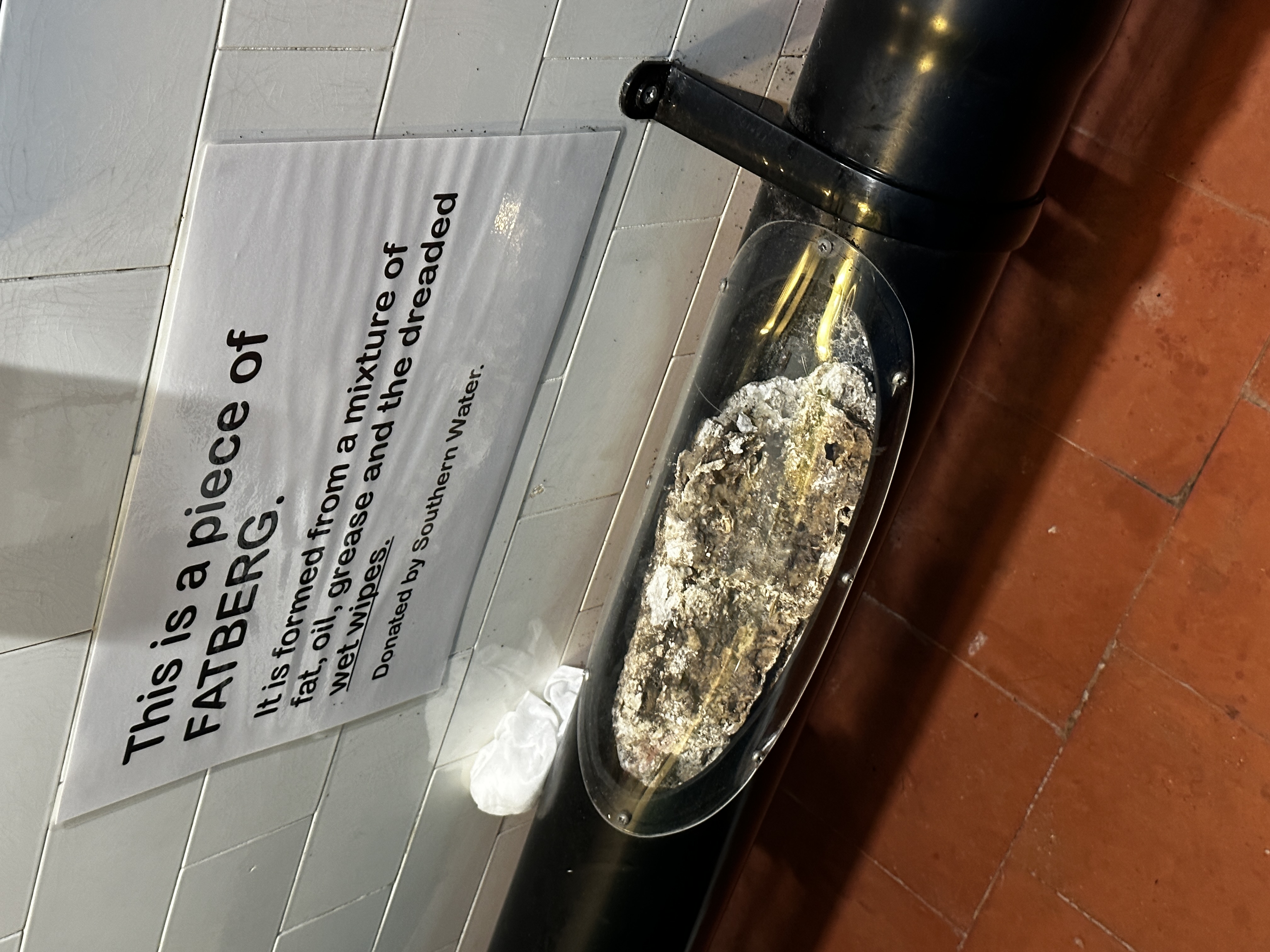 The Hidden Costs of Fatbergs (image credits: By Secretlondon, CC BY-SA 4.0, https://commons.wikimedia.org/w/index.php?curid=135352658)