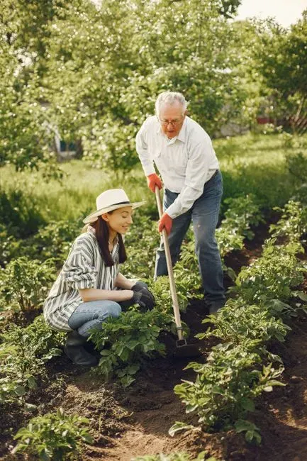 Gardens and Yards Age Alongside the People Who Tend Them (Image Credits: Pexels)
