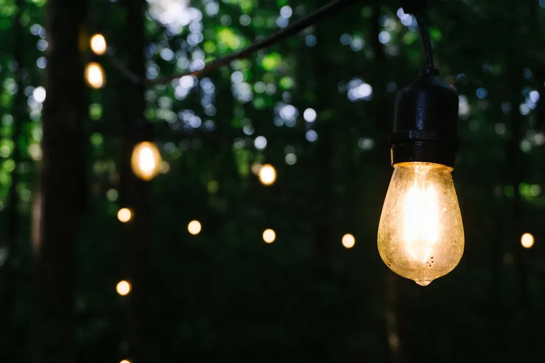 Layered Lighting for Evening Curb Appeal (Image Credits: Unsplash)