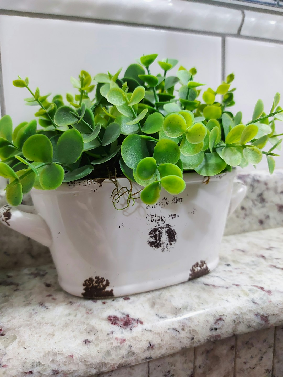 Artificial Plants and Fake Flowers (image credits: unsplash)