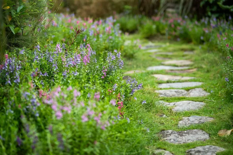 Lay a stepping stone path (Image Credits: Pexels)