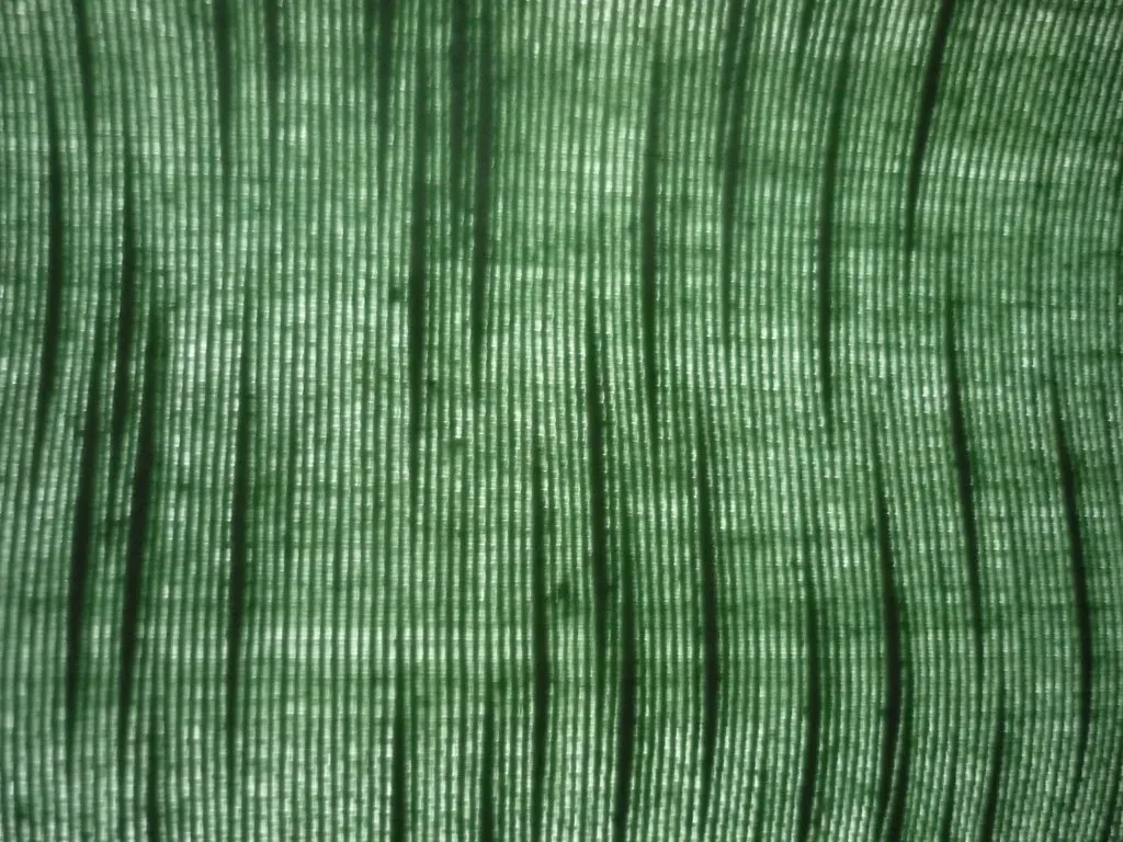 Layer Textiles to Add Warmth (virtually_supine, Flickr, CC BY-SA 2.0)
