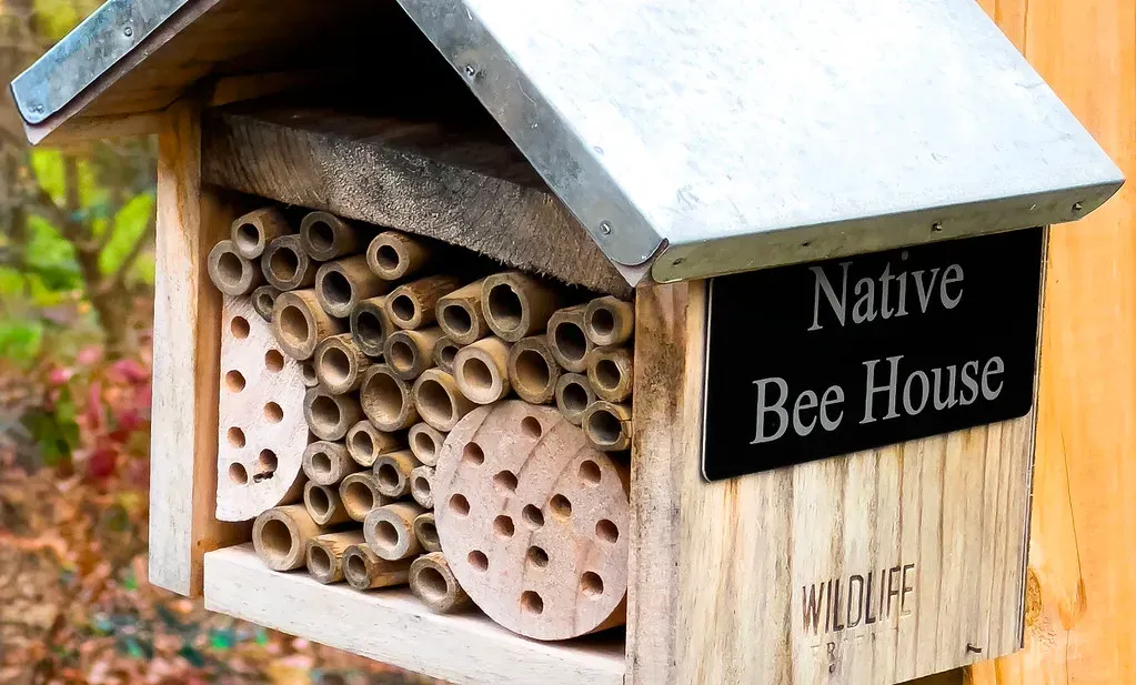 Build a simple birdhouse or bee hotel (Ron Cogswell, Flickr, CC BY 2.0)