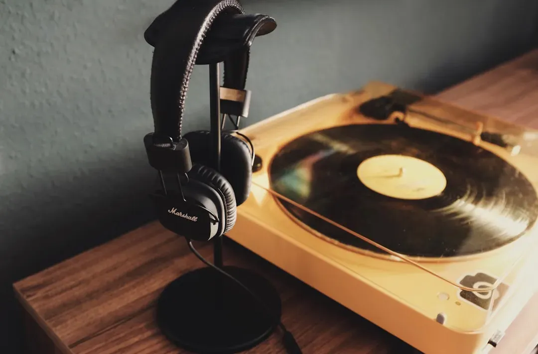 Listeng Rooms and Sound Sanctuaries (Image Credits: Unsplash)