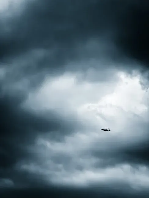 7. They Stay Calm and Quiet During Turbulence (Image Credits: Pexels)
