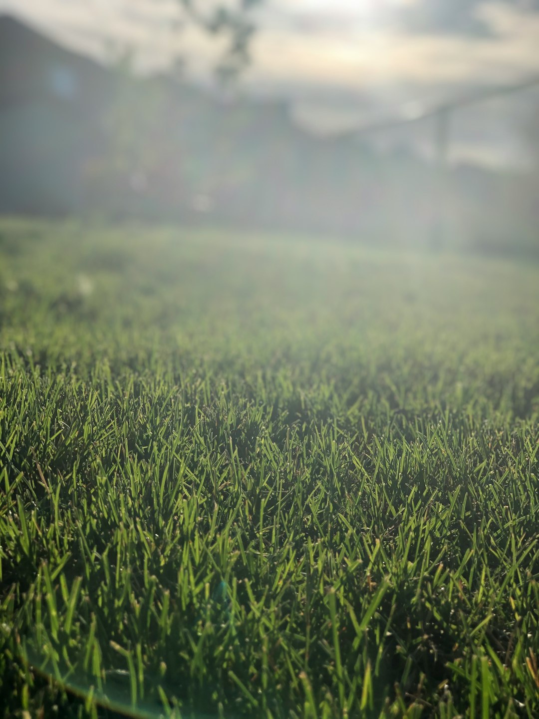 The Environmental Wake-Up Call (image credits: unsplash)