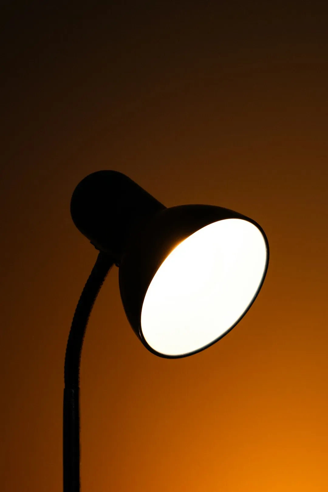 What Color Temperature Actually Does to a Room (Image Credits: Unsplash)