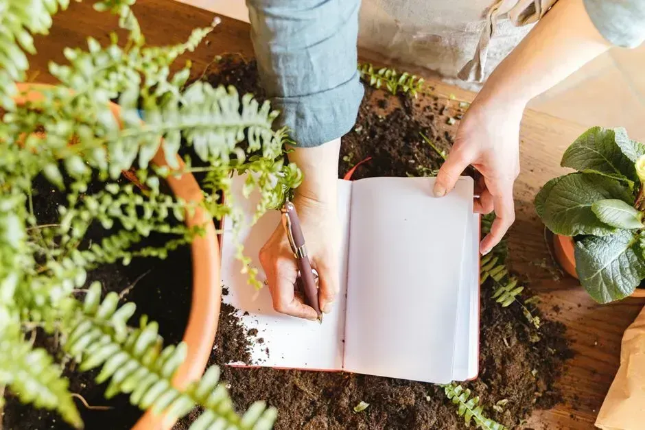 Keep a simple garden journal or photo log (Image Credits: Pexels)