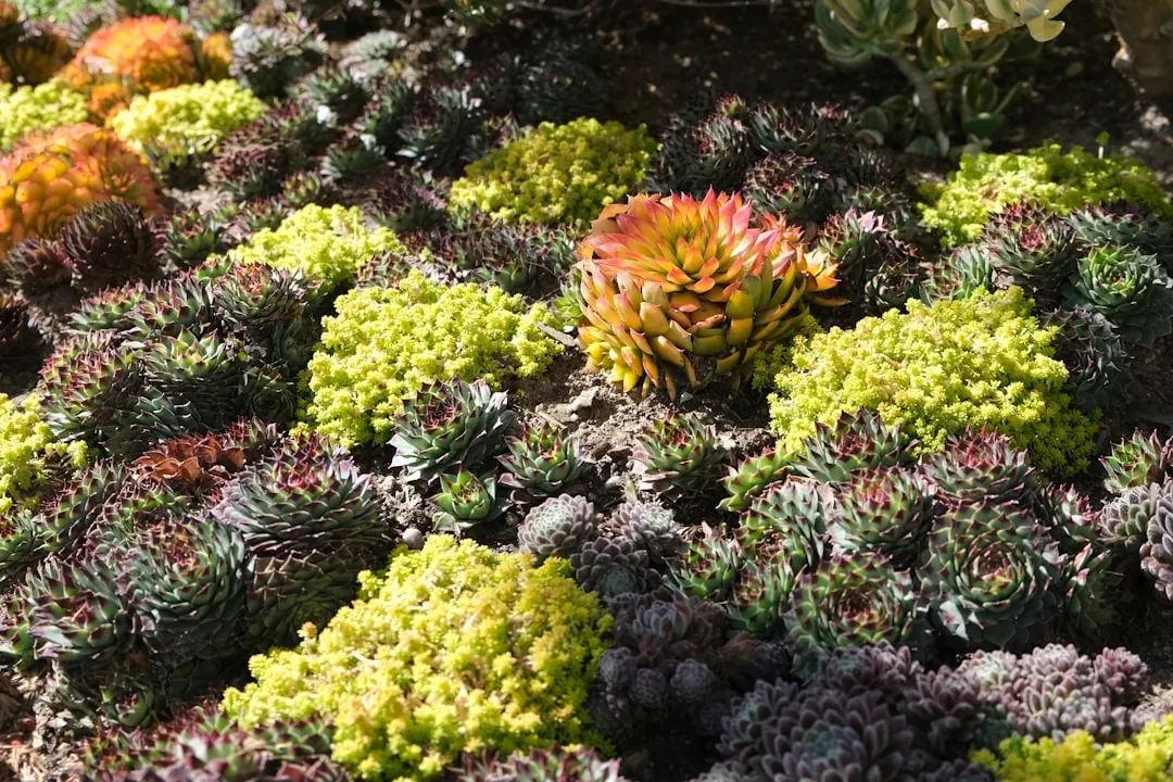 Low Maintenance Landscaping That Still Feels Lush (Image Credits: Unsplash)
