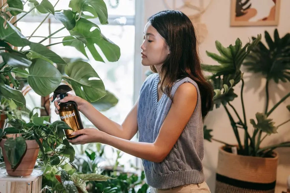 Introduce plants and greenery (Image Credits: Pexels)