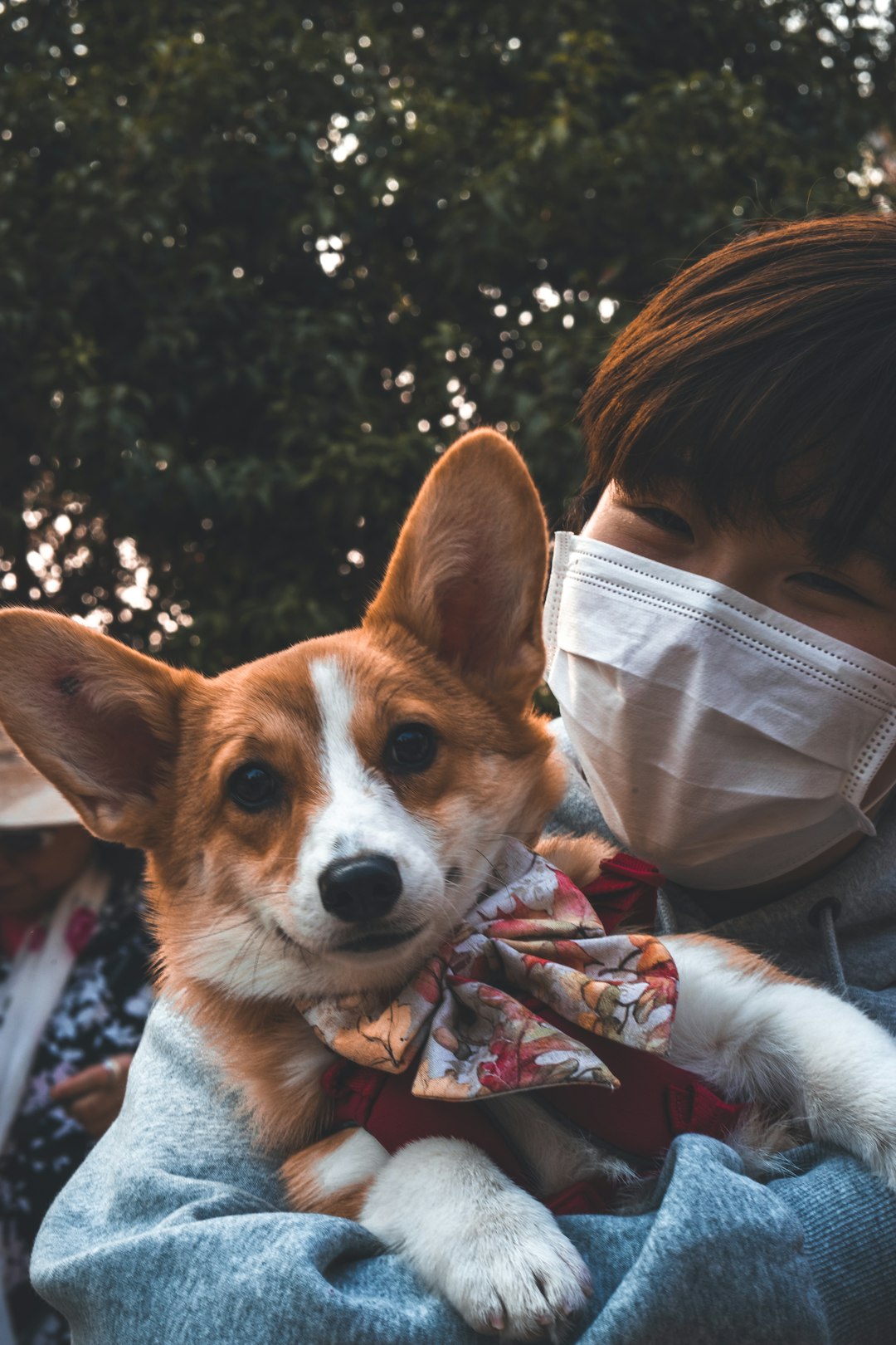 The Myth of Hypoallergenic Pets (image credits: unsplash)