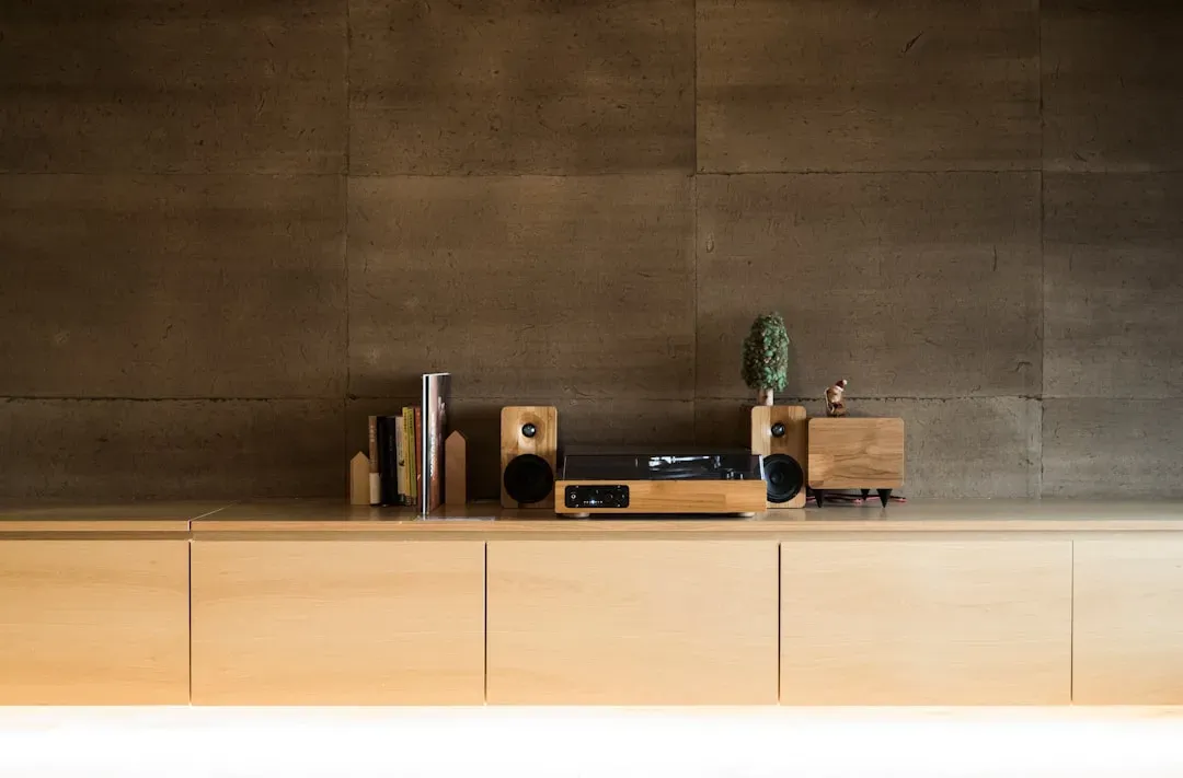 Sound and the absence of silence (Image Credits: Unsplash)