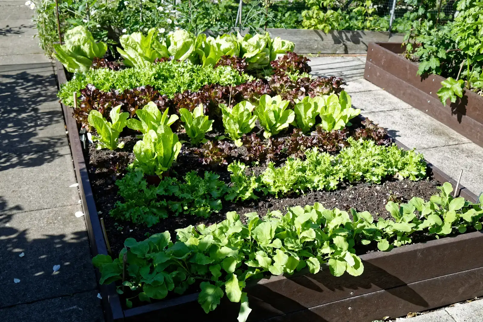 6. Vegetable and raised-bed gardens (By Acabashi, CC BY-SA 4.0)