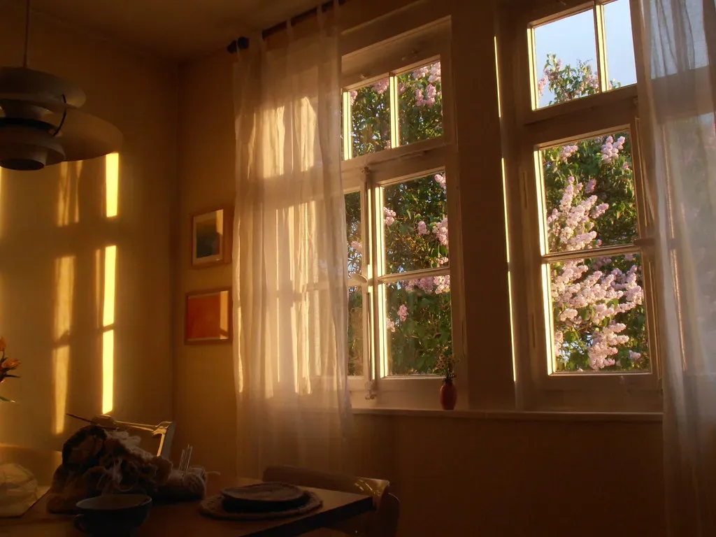 How natural light and outlook affect daily mood (storebukkebruse, Flickr, CC BY 2.0)