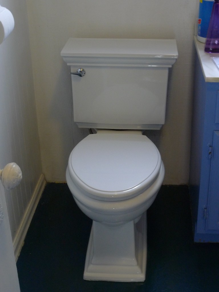 Improper Toilet Installation Leading to Constant Leaks (image credits: flickr)