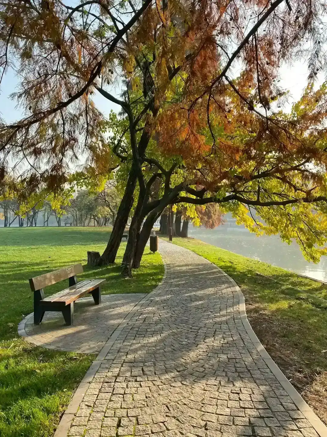 A stone or brick pathway leading to a sitting area (Image Credits: Unsplash)