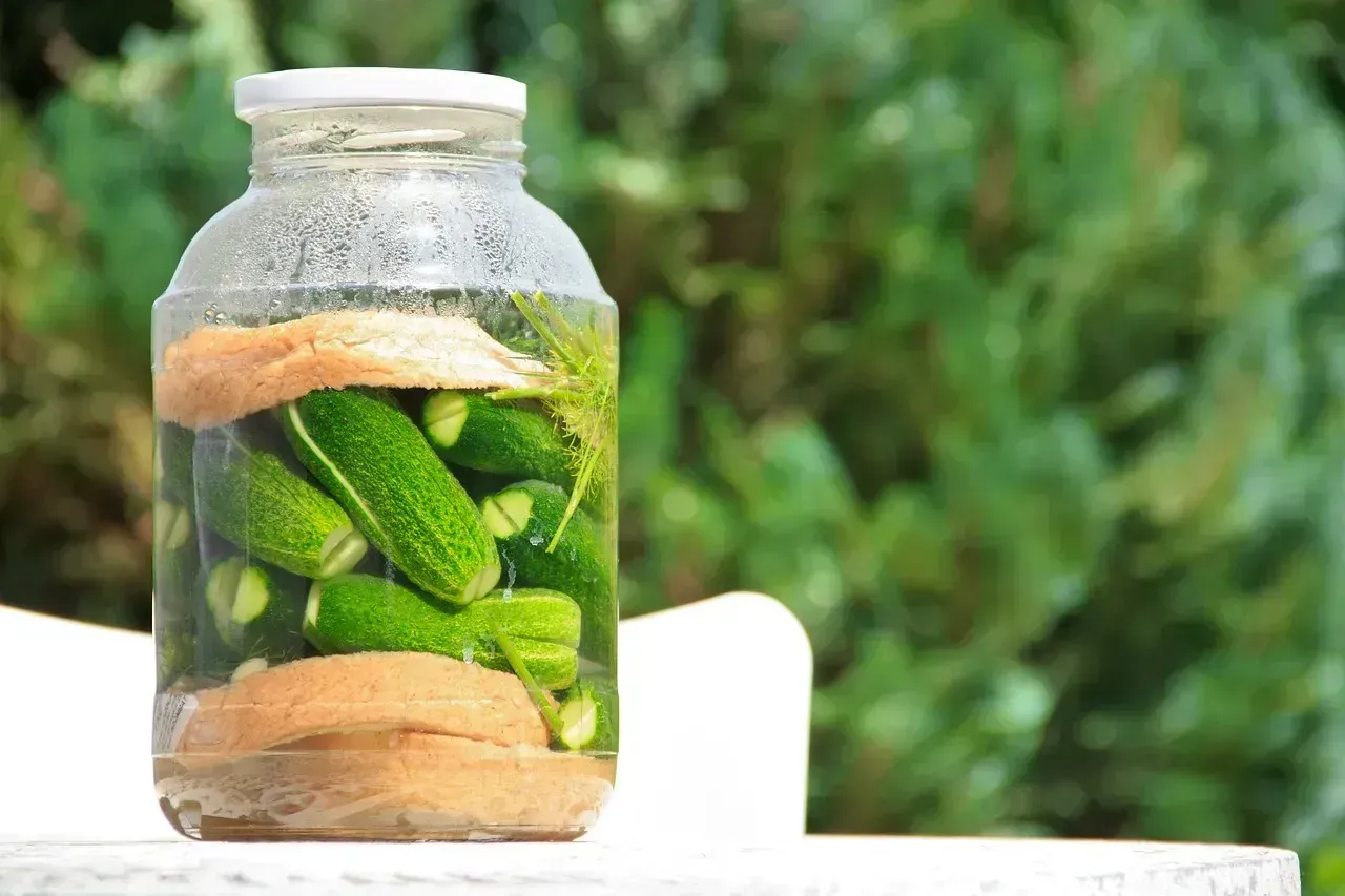 4. Alcoholic Beverages and Fermented Foods (Image Credits: Pixabay)