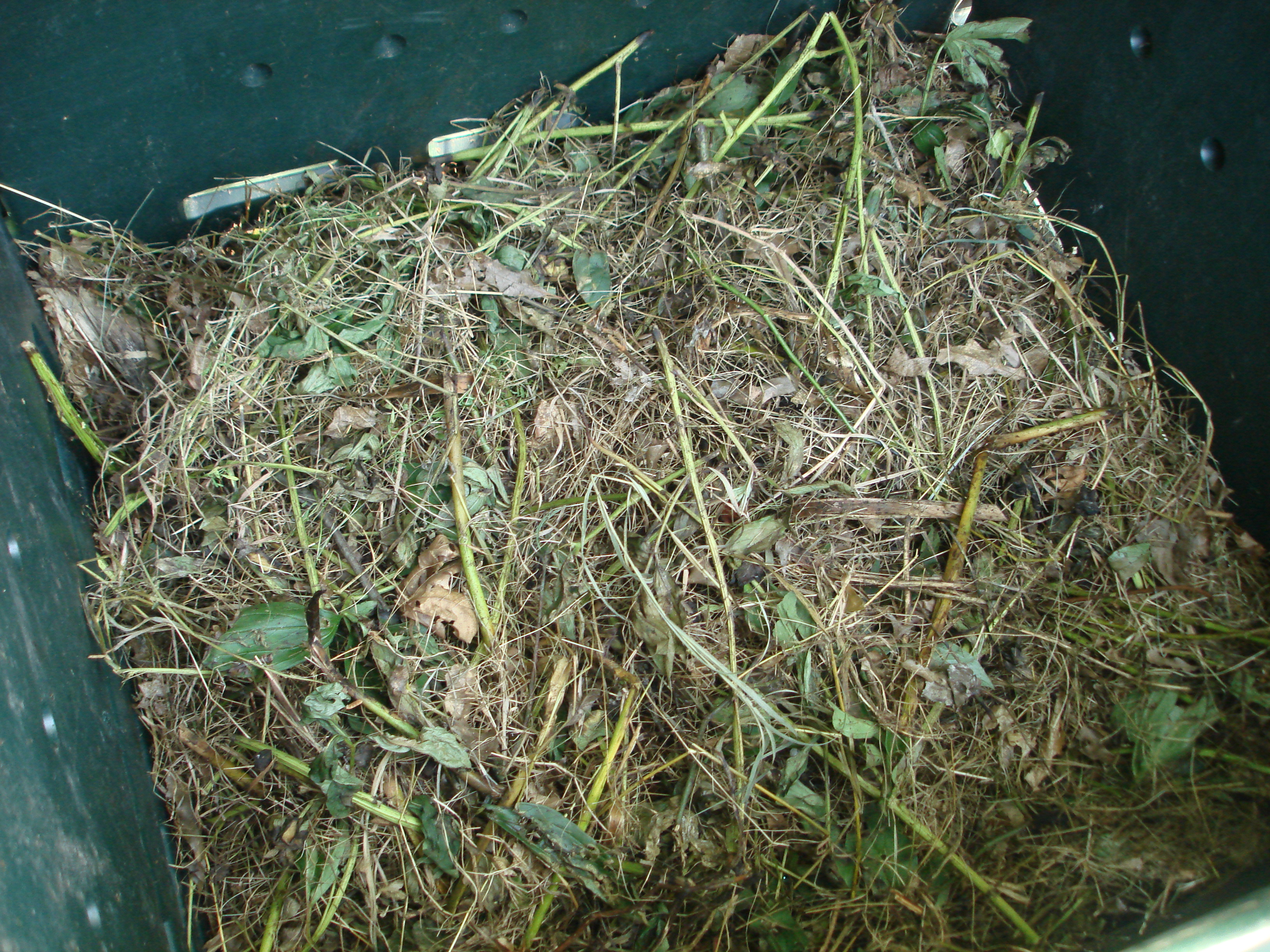 Troubleshooting Common Composting Problems (image credits: wikimedia)