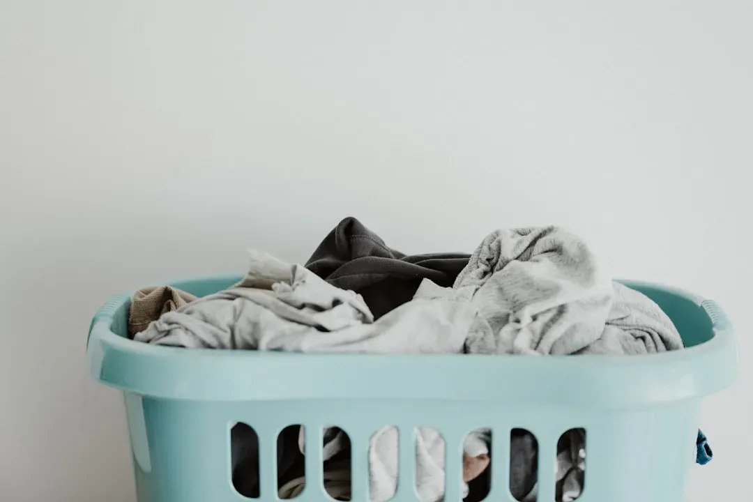 Manage laundry before it piles up (Image Credits: Unsplash)