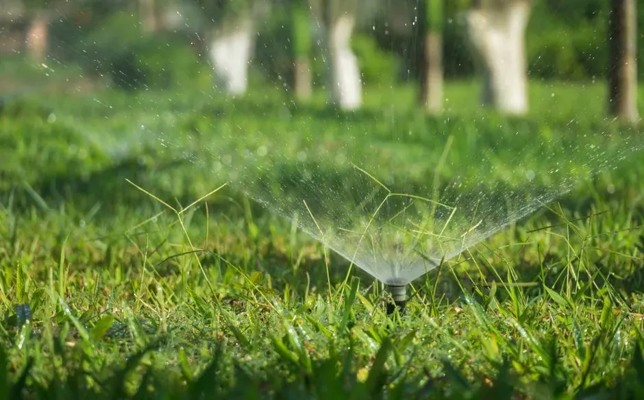 Rethinking outdoor water use (Image Credits: Pexels)