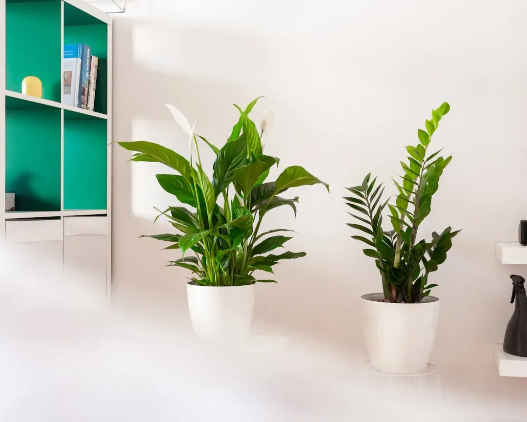 Add fresh greenery or florals (Image Credits: Unsplash)
