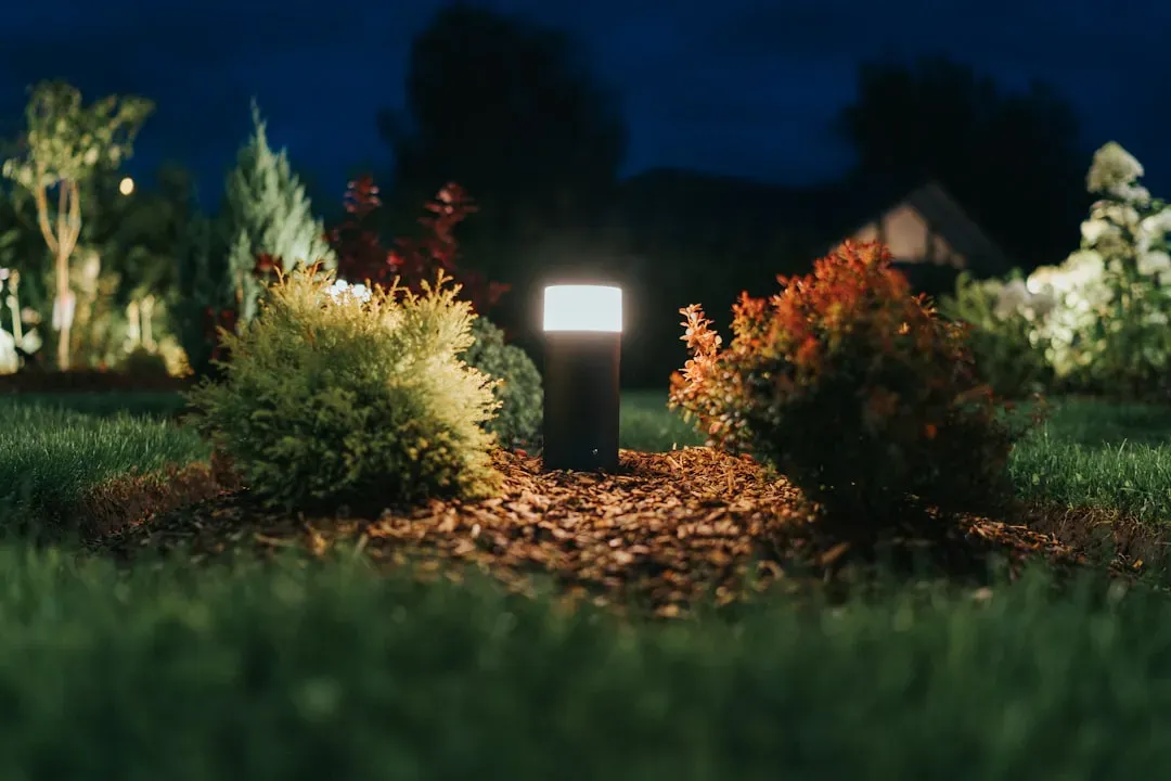 Lighting That Changes How a Yard Feels After Dark (Image Credits: Unsplash)