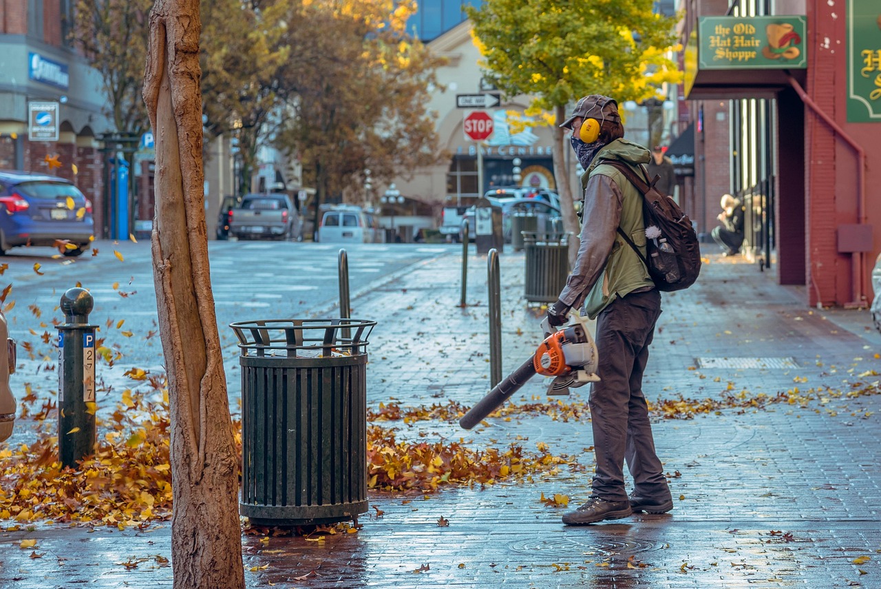 Gas-Powered Leaf Blowers Face Widespread State and Local Bans (image credits: pixabay)