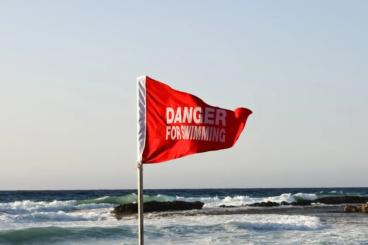 Beach Safety Warnings Often Overlooked (Image Credits: Pixabay)