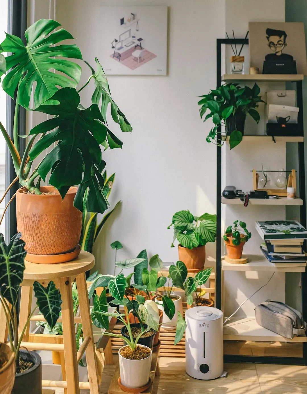 A measurable dip in stress (Image Credits: Unsplash)