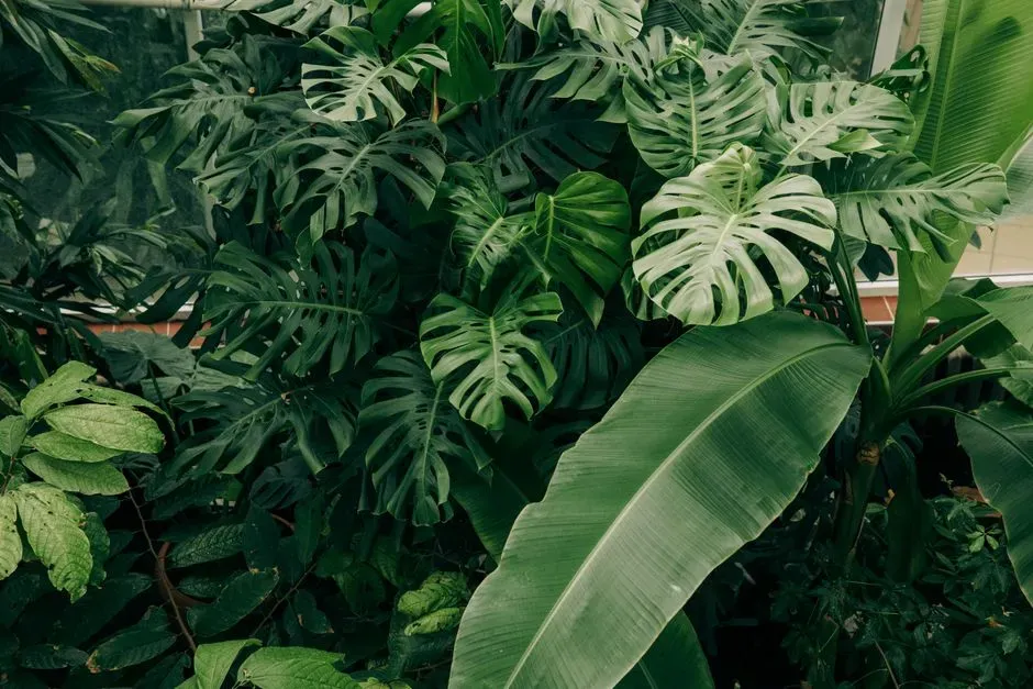 Build a small wellness nook rather than scattering greenery randomly (Image Credits: Pexels)
