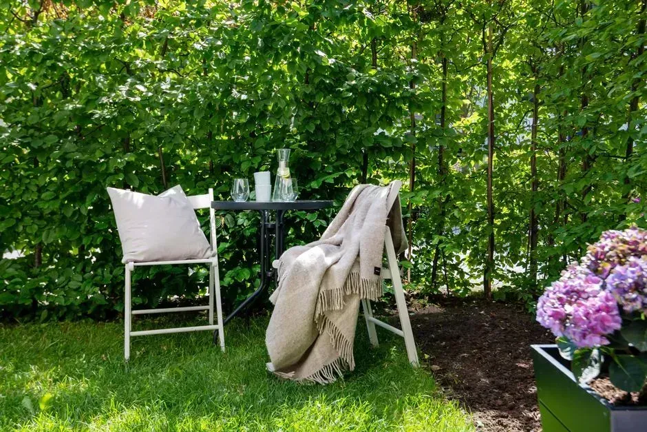 Privacy screens and greenery that soften hard edges (Image Credits: Pexels)