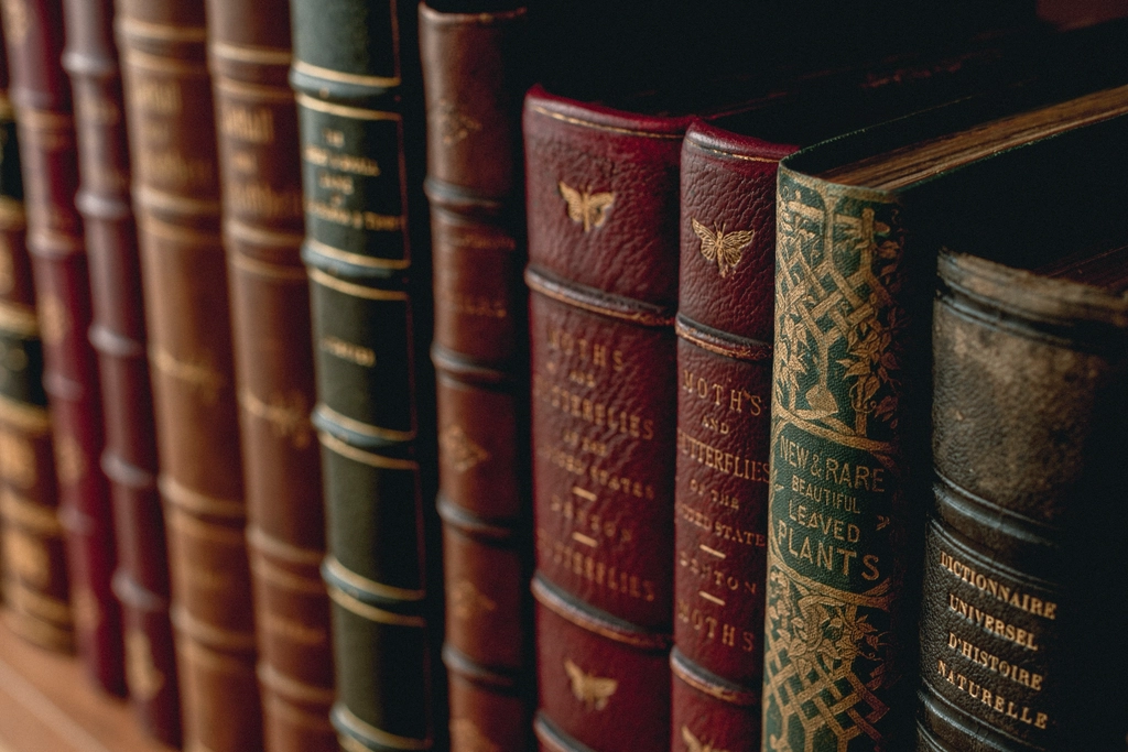 The Million-Dollar Manuscripts Hiding in Plain Sight (image credits: rawpixel)
