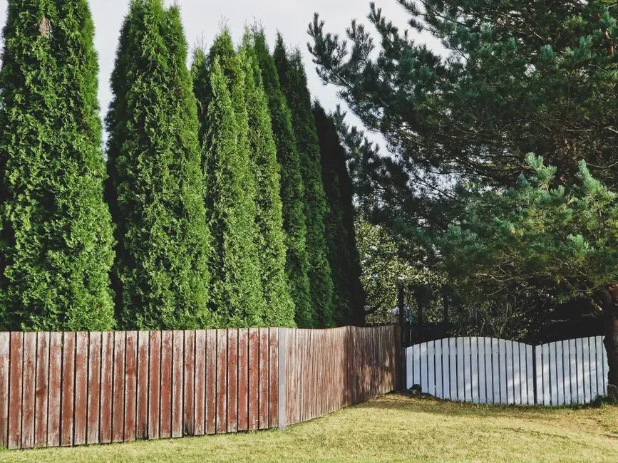 Add Privacy Without Losing Openness (Image Credits: Pexels)