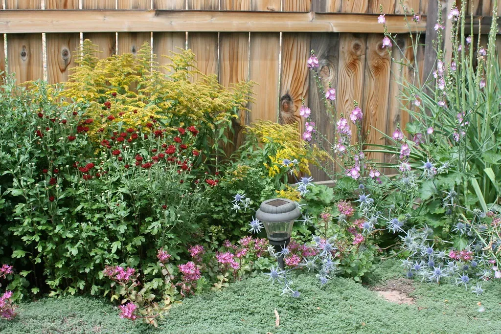 Perennial borders built for summer stamina (patrick_standish, Flickr, CC BY 2.0)